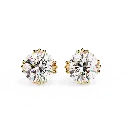 5 (26).webp