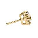 5 (36).webp