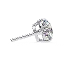 5 (38).webp