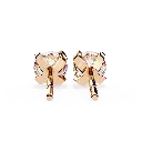 10 (36).webp