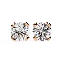 10 (24).webp