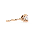 10 (30).webp