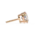 11 (33).webp
