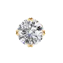 13 (25).webp