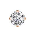 13 (24).webp