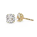 14 (41).webp