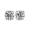 14 (1).webp