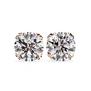 14 (23).webp