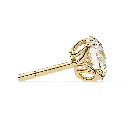14 (27).webp