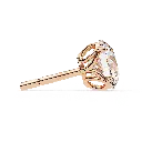 14 (29).webp