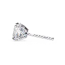 15 (28).webp
