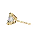 16 (11).webp