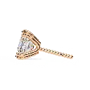16 (12).webp
