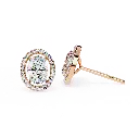 24 (17).webp