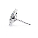 25 (21).webp