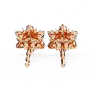 28 (41).webp