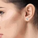 Untitled-1.webp