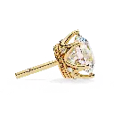 3 (31).webp
