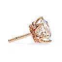 3 (29).webp